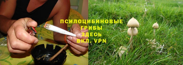 трава Вязьма