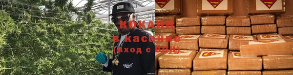 метадон Вяземский