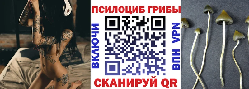 shop Telegram Красавино Псилоцибиновые грибы мицелий