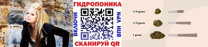 Каннабис ГИДРОПОН  купить наркотики сайты  Красавино 